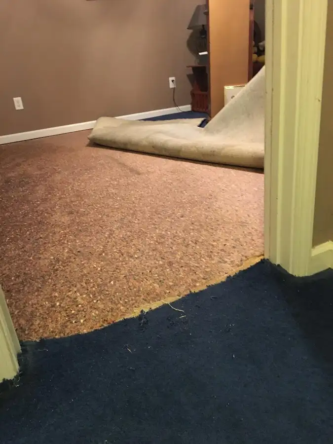 Carpet pad removal revealing water damage during Drying & Dehumidification in Floral City
