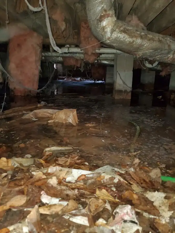 Crawl space flood assessment for Commercial Water Damage Restoration in Floral City