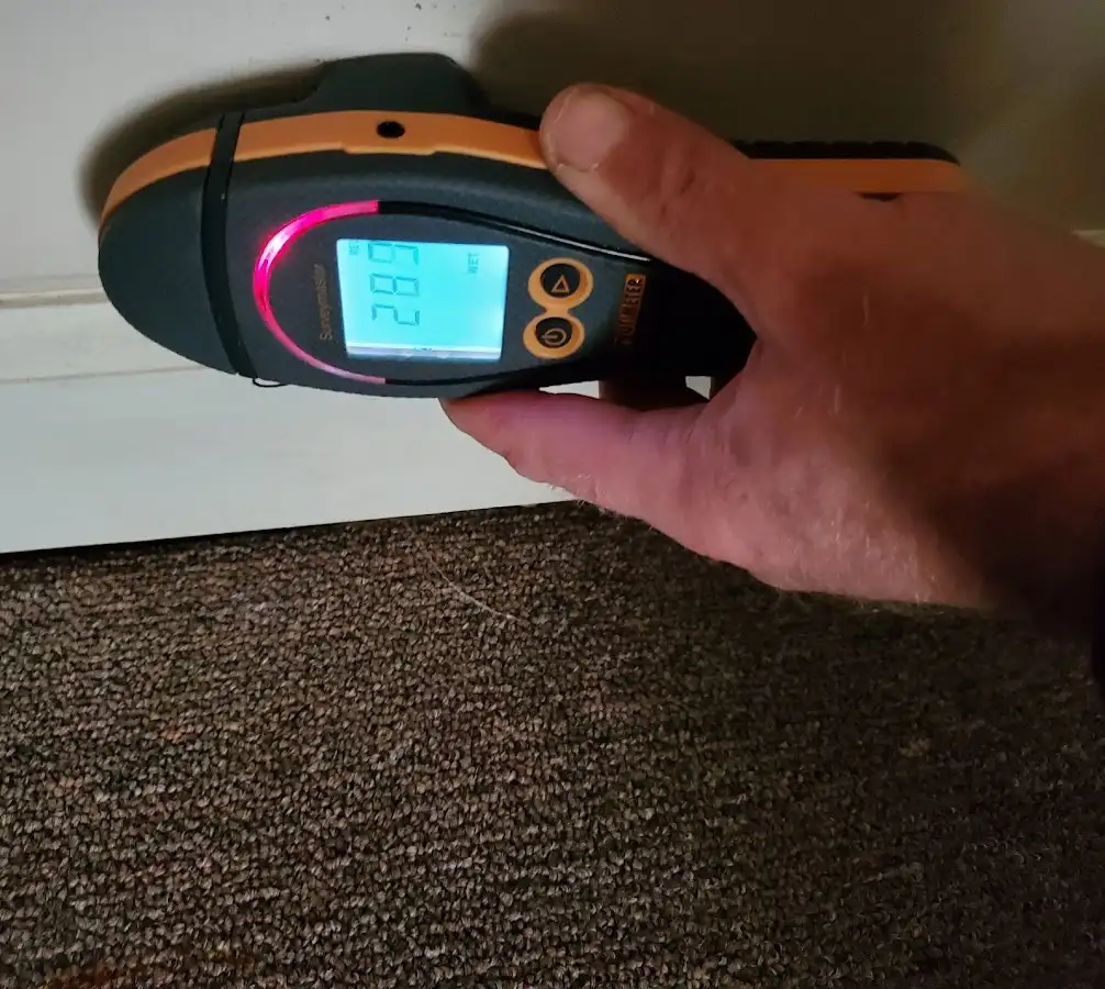 Moisture detection at baseboard during Sewage Cleanup & Sanitation in Floral City